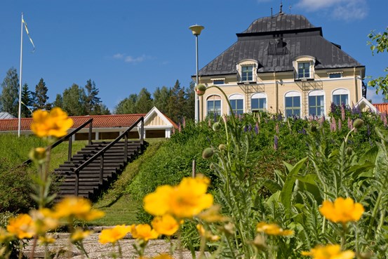 Vy från örtträdgården