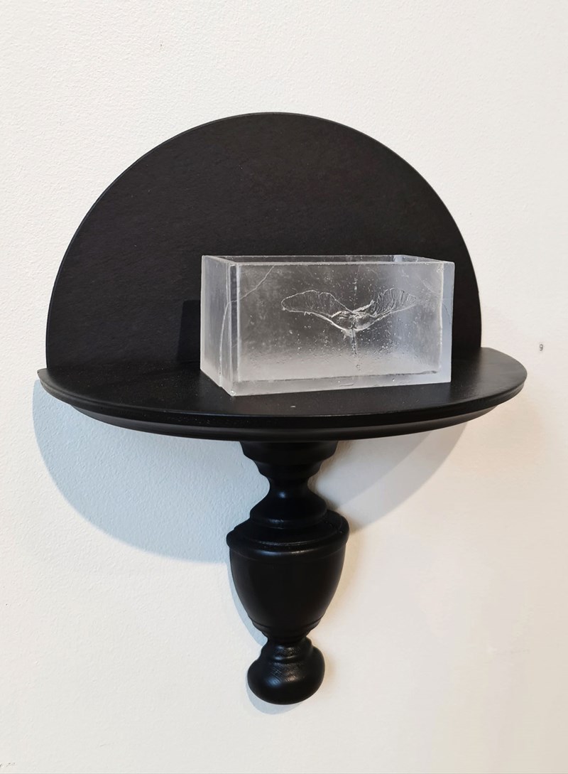 På ett svart, snidat litet halvmåneformat sidobord, med en lika svart målad rund skugga på den vita väggen bakom, står en frostvit rektangulär behållare i glas. I glasets ansikte på dess främre långsida sitter ett exakt avtryck av en frökapsel från en lönn.
