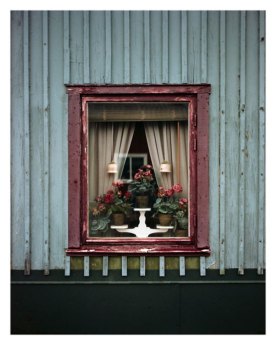 Fönster centrerat i bild, rödmålad karm och foder, på ljust gråblå trävägg. I fönstret tre pelargoner på en trearmad piedestal. 