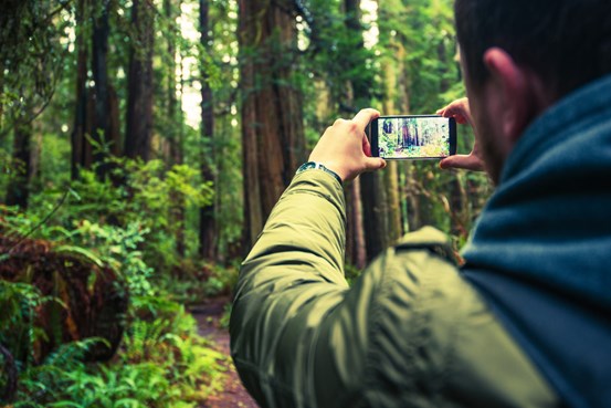 En person tar en bild med mobilkamera i skogsmiljö