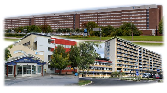 Collage som visar foto på sjukhusbyggnaderna i Sundsvall, Sollefteå och Örnsköldsvik