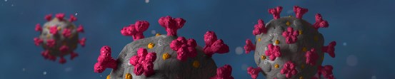 Tredimensionell modell av coronaviruset, med rosa "piggar"