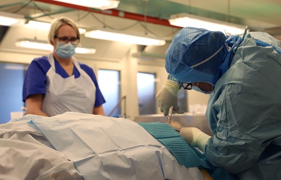 Karin Tjäder, intensivvårdssköterska och Anna Hansson, obduktionstekniker, tog initiativet till att börja donera hornhinnor från patienter som avlidit i Sundsvall. 