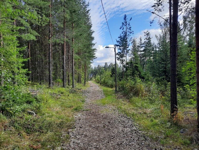 Promenadstig i skog i Ånge
