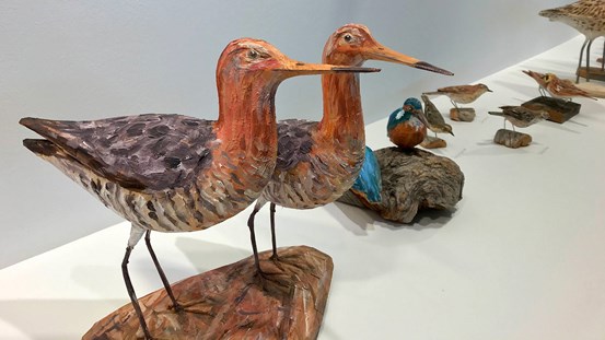 Träskulpturer av fåglar arrangerade i likhet med ett naturhistoriskt museum.