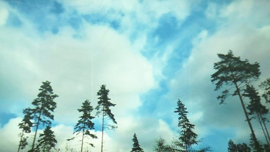 Stillbild ur videoverk visar trädtoppar mot en målning, blå himmel.