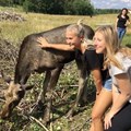 Ett par deltagare står bredvid en älg.
