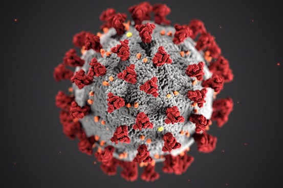Coronaviruset i förstoring - en grå boll med röda piggar som ser ut som blommor