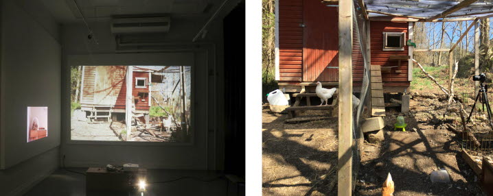 Till vänster: Installationsvy som visar två videoprojektioner, den ena är mindre och visar bland annat en trälåda. Den andra är större och visar en hönsgård. Till höger: fotografi som visar en kamera som filmar hönsen.