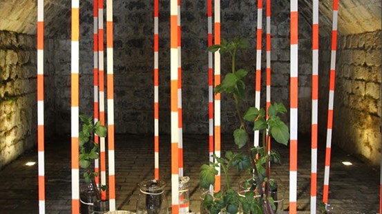 ©BUS/Gunilla Samberg, installation.