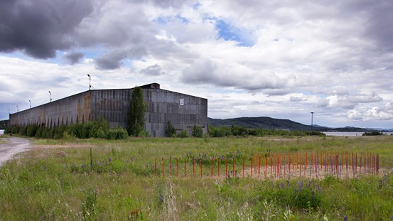 Ina Palm, Terra Mater. Mariebergs sågverksområde. ©Ina Palm/Bildupphovsrätt 2020.