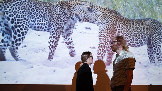 Maja Melsted och Michael Cedlind, performace med filmen Mandomsprovet som utgångspunkt, Sundsvalls museum.