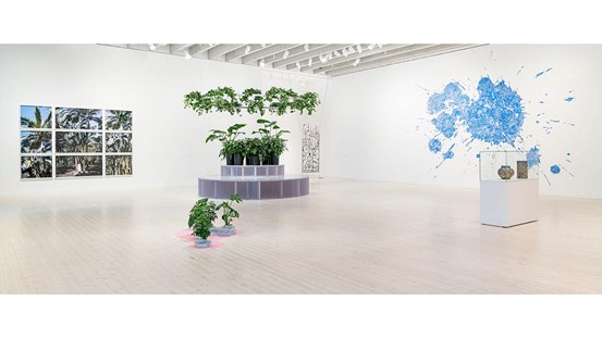 Vy från utställningen ”Markkontroll”. I mitten utgör blomväxter en egen installation, till höger en platsspecifik teckning i blått, till vänster ett uppbrutet fotografiskt verk av växtlighet.