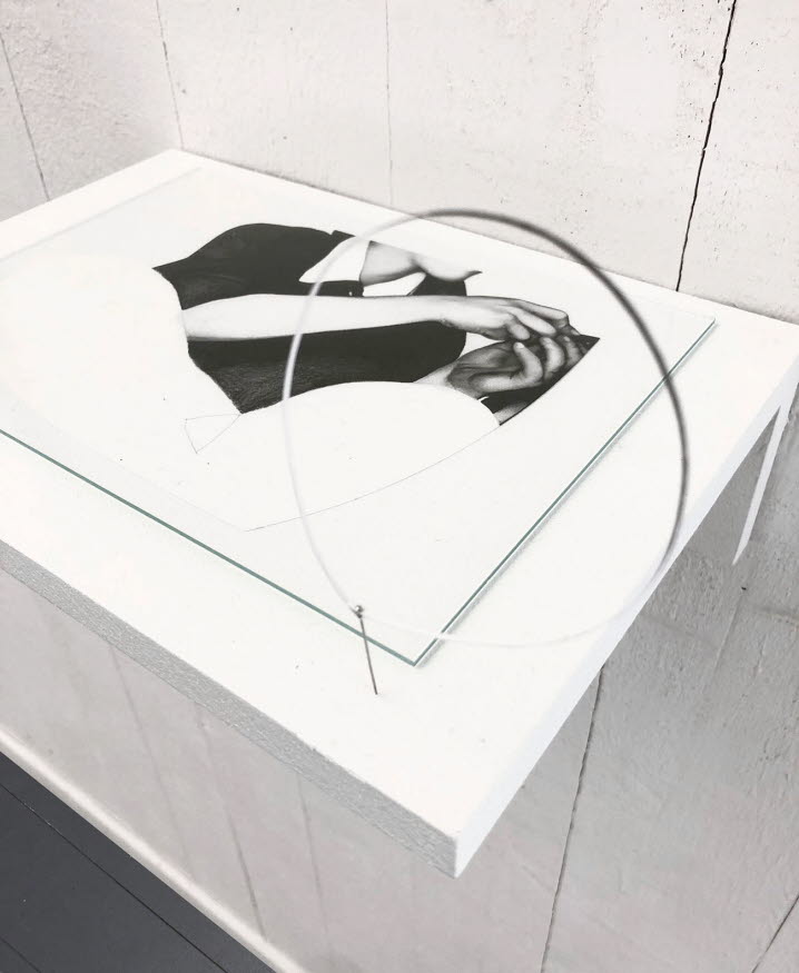 Den fotorealistiska teckningen föreställer hakan, en krage, axlarna och händer i arbete. Teckningen ligger på en hylla under en glasskiva och i skivans nedre högra hörn sitter en nål, på dess topp en tunn cirkel.