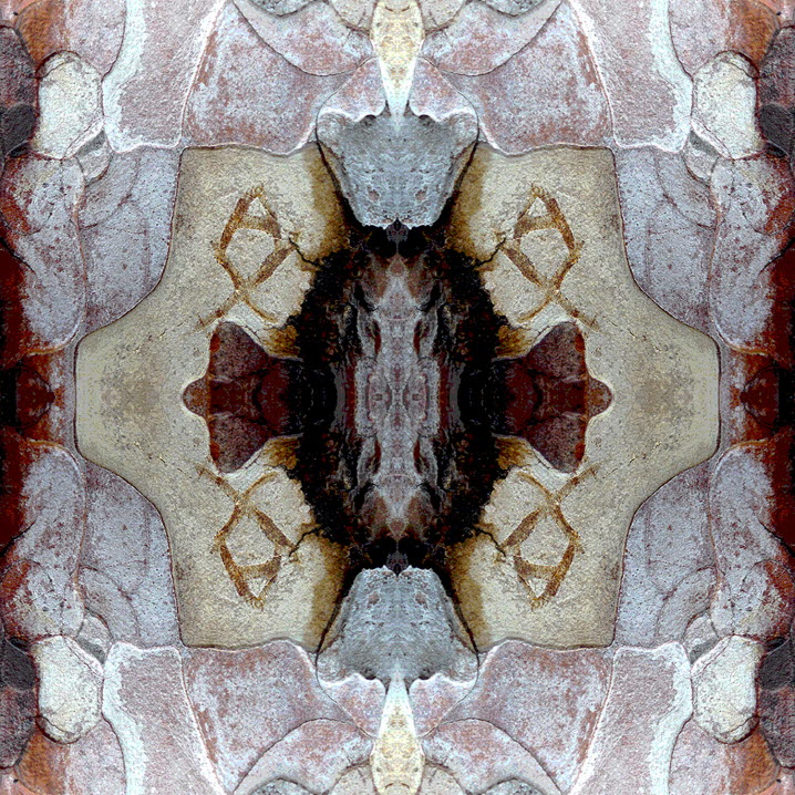Janne Björkman, BARK 48. Pigmentprint på papper, 21x21 cm. ©Janne Björkman/Bildupphovsrätt 2020. 
