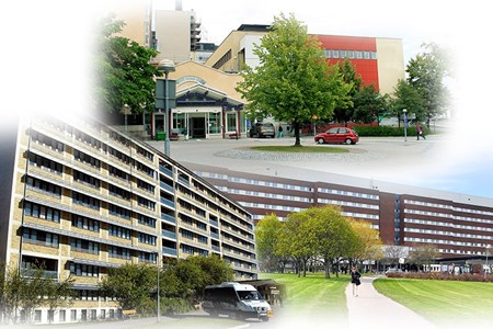 Länets tre sjukhus i collage