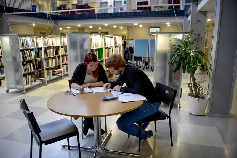 Studenter i ett bibliotek