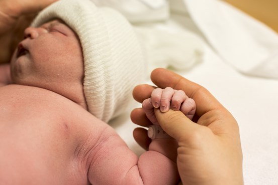 Nyfödd bebis håller hand med pappa