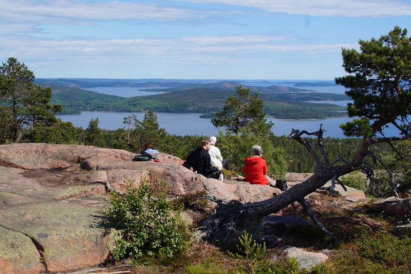 En grupp vandrare njuter av utsikten över Höga kusten .