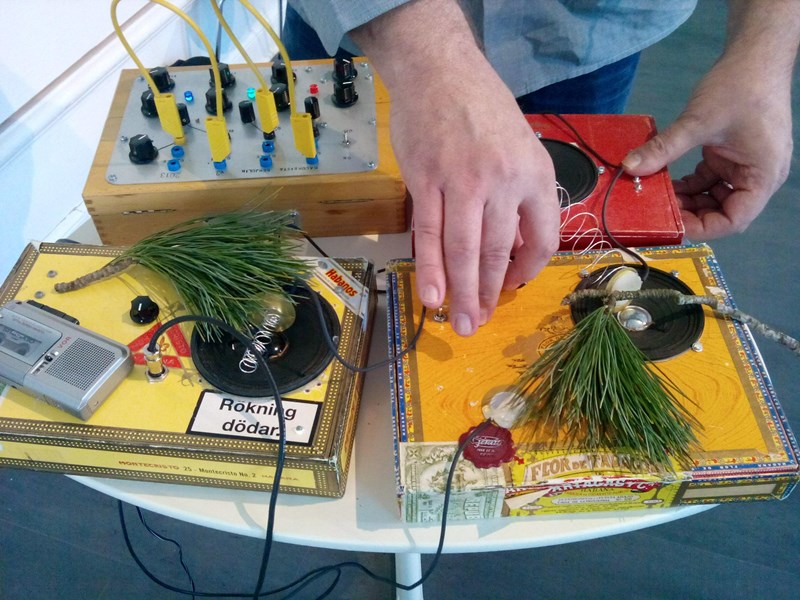 Bild på lådor, tallkvist och elektronik som används för att skapa ljudkonst, Närbild på händer som håller i och skruvar på föremål som ligger på ett bord. 