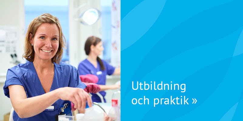 Utbildning och praktik