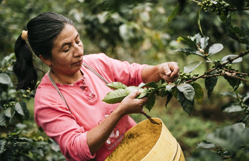 Fairtrade