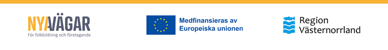 Logotyp för projektet Nya vägar, Europeiska unionen, Svenska ESF-rådet och Region Västernorrland.
