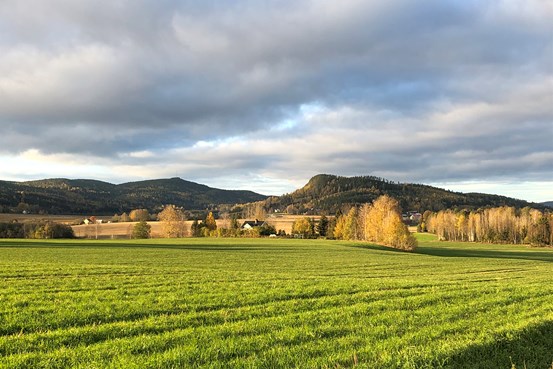 Ett landskap med en grön åker, träd med gula löv och en himmel med grå moln.
