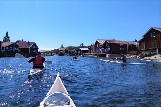 Fyra personer paddlar kajak under bar himmel omringade av röda stugor i en hamn.