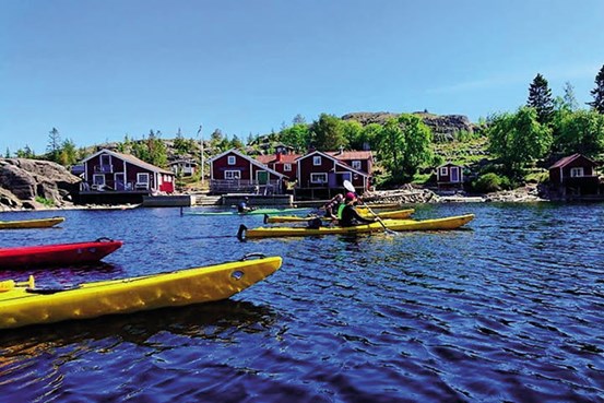 En grupp personen paddlar kajak inne i en hamn med små röda stugor vid stranden.