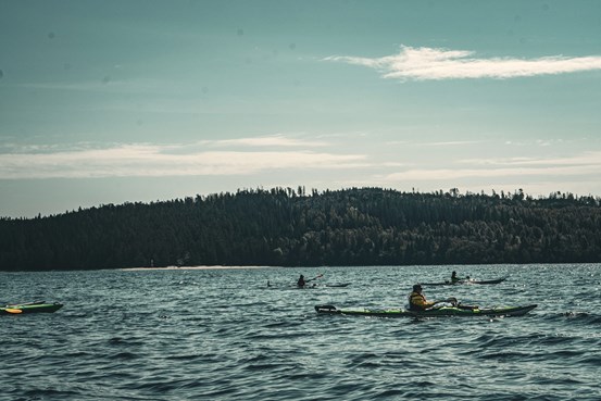 En grupp personer paddlar på havet med berg och en blå himmel i bakgrunden.