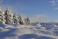 Ett vinterlandskap täckt av djup snö och ett litet hus i bakgrunden.