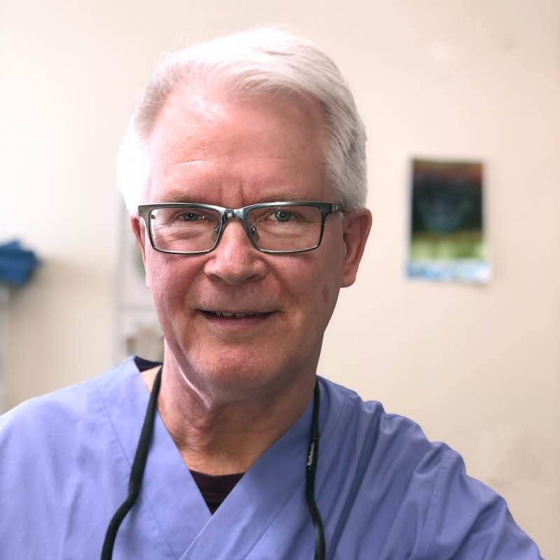 Distriktstandläkare på Folktandvårdens klinik i Kvissleby