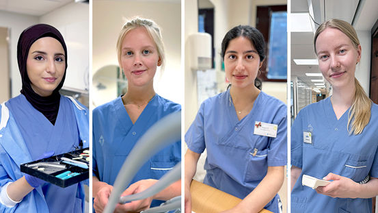 Fyra porträttbilder på unga tandläkare:Tandläkarstudenterna från vänster: Rawan Jalilati, Ebba Gabrielsson, Roxanna Barghi och Sofia Lindgren.