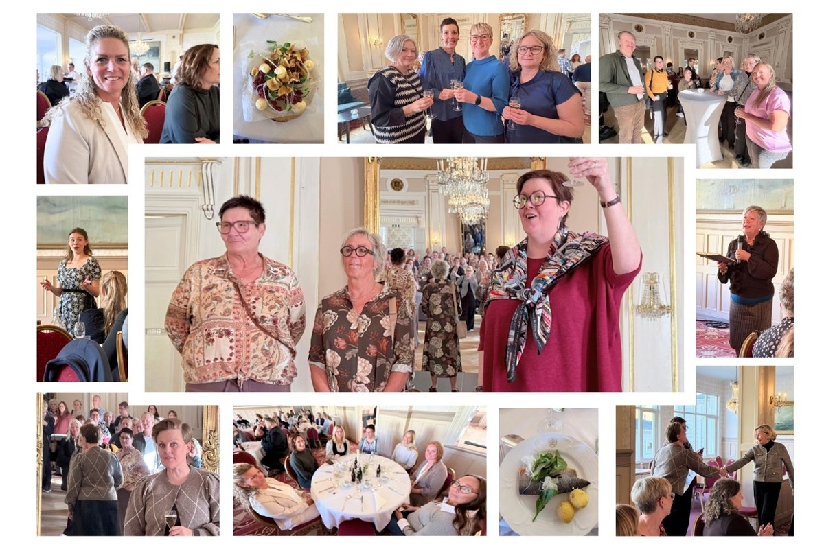 alt='Kollage över jubileumslunch'