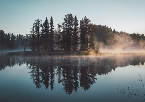 En träddunge på en ö mitt på en spegelblank sjö med dimma runtomkring.