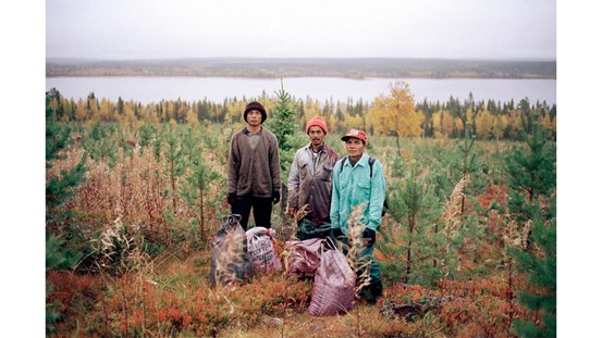 Tre bärplockare står i ett höstlandskap med fyra fyllda säckar.