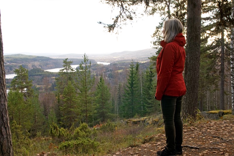 Kvinna står på ett berg och tittar ut över utsikten i Sollefteå.