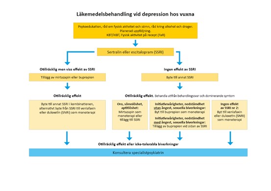 Behandlingsalgoritm som beskriver preparatval och strategi för läkemedelsbehandling av depression hos vuxna.